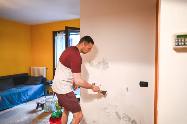 Best Mold Removal Specialists  in Clinton, MD