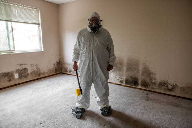 Best Certified Mold Removal  in Clinton, MD